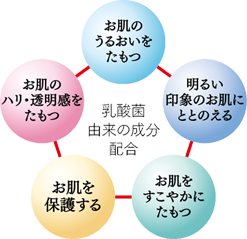 乳酸菌由来の成分配合